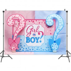 Boy Or Girl Gender Reveal Backdrop A	 2019070 5x3